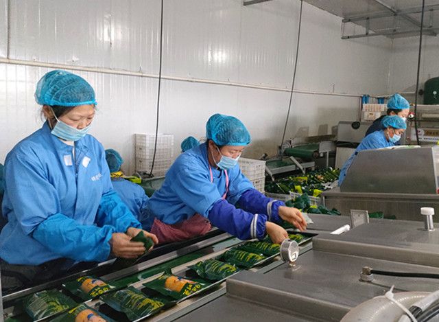 春潮涌動(dòng)黑土地，寶清農(nóng)民家門口捧起‘金飯碗’